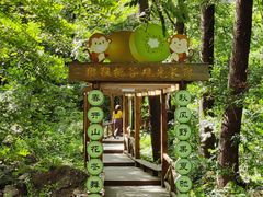 -大岭沟猕猴桃谷风景区