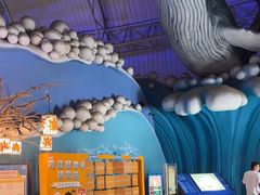 -烟台海昌鲸鲨海洋公园