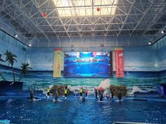 -多彩贵州城极地海洋世界