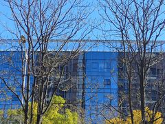 -凯德MALL(望京店)