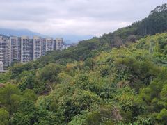 -福道