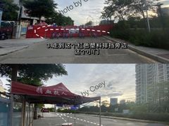 -宝安西湾红树林湿地公园