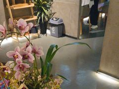 -施奈儿.洗头頭療.按摩SPA.采耳(上梅林店)