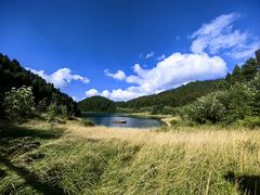 -武陵山森林公园