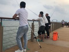 -东疆建设开发纪念公园