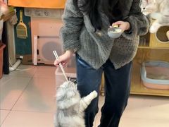 -平行世界·猫咖(首经贸店)