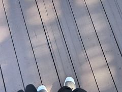 -北京鹿世界主题园