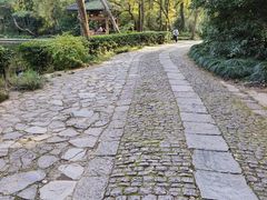 -紫霞湖公园