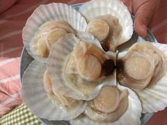 -众彩物流水产市场