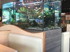 -大家乐(佛山南海店)