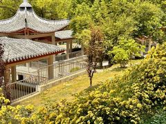 -南京古林公园