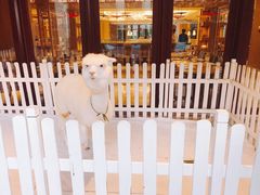 -舟山朱家尖威斯汀酒店·知味标帜自助餐厅