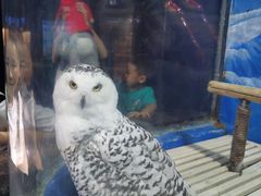 -成都浩海立方海洋公园