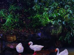 -兰亭风景区