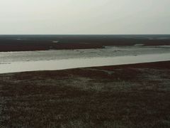 -红海滩国家风景廊道