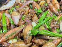 -石岐乳鸽村(南海第三分店)