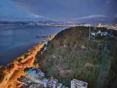 -野菌皇海景野生菌火锅(滨海大道店)