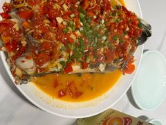 -全乐鱼馆·淳牌有机鱼直营店