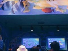 -沈阳海洋探索中心