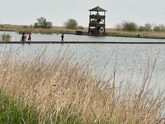 -盐城丹顶鹤湿地生态旅游区