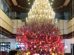 -金城大酒店-中餐厅(汾江中路店)