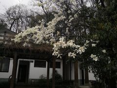 -杭州西湖风景名胜区-满觉陇四眼井