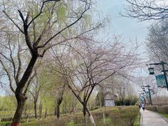 -西安汉城湖景区