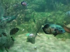 -常州海昌海洋探索馆