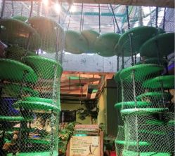 -恐龙探索乐园(磁器口店)