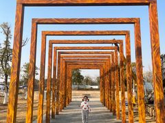 -瑶湖郊野森林公园