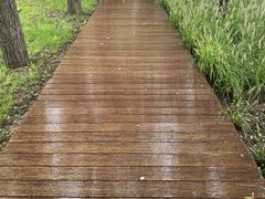 -汉长安城未央宫国家考古遗址公园