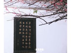 -八大山人梅湖景区