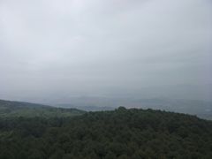 -铁山坪森林公园