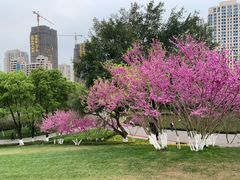 -重庆中央公园(渝北区)