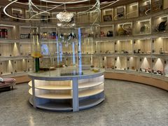 -囡的喵喵酱·萌宠生活馆·宠物洗护美容(胶州路店)