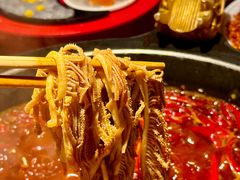 -蜀大侠火锅(总府路店)