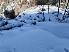 -峡谷浮石林景区