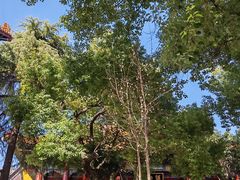 -宝通禅寺