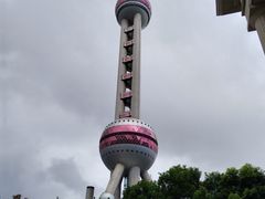 -上海海洋水族馆