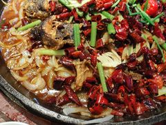 -老板恋上鱼(高新万达店)