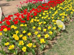 -石家庄市植物园