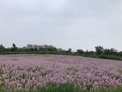 -兴安湖生态运动公园