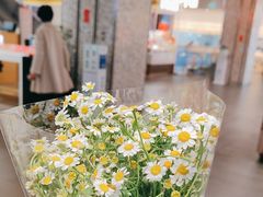 -豆豆花艺(新光天地店)