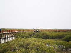 -北海金海湾红树林生态旅游区