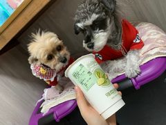 -雅克雅思(南湖东路店)