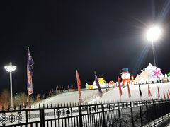 -沈阳奥体冰雪嘉年华