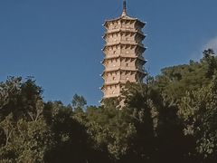 -深圳国际园林花卉博览园