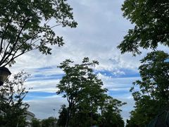 -东湖磨山景区