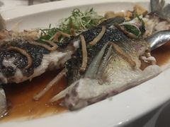 -顺峰(农展馆店)