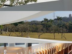 -紫马岭公园